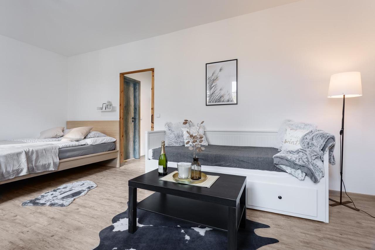 Apartmány Vlevo&Dole Rokytnice nad Jizerou Kültér fotó